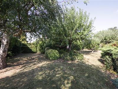 Picture 23